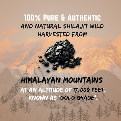2 Pack Pure Hunzai Shilajit - 20g